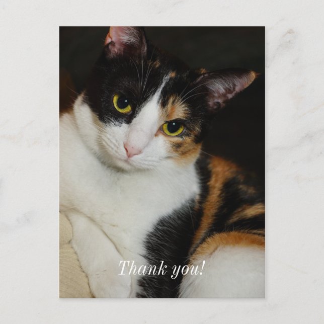 Juste à traîner par-ci par-là Carte postale de rem (Devant)