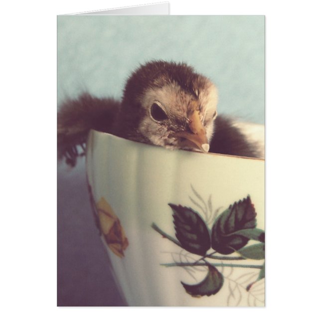 Juste Chillin' (Devant)