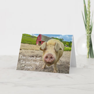 Juste être Nosey carte de note vierge de porc