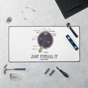 Juste Eyeball It Human Eye Anatomie Geek Conseils