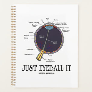 Juste Eyeball It Human Eye Anatomie Geek Conseils