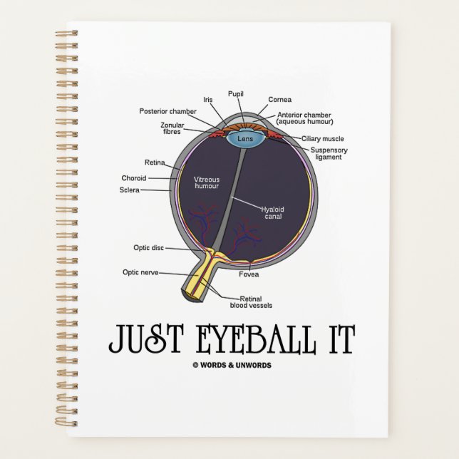 Juste Eyeball It Human Eye Anatomie Geek Conseils (Devant)