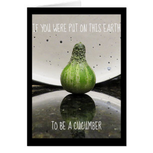 Juste pour l'amusement