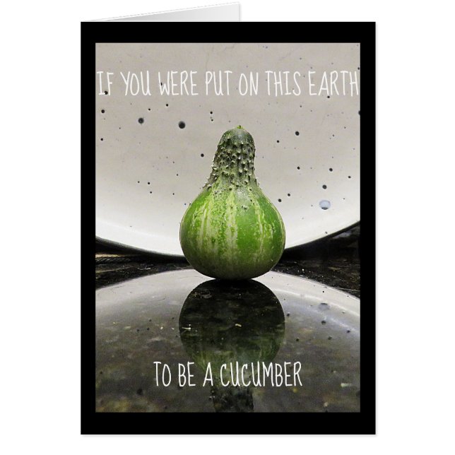 Juste pour l'amusement (Devant)