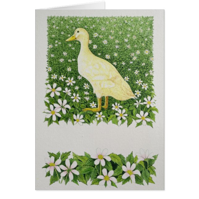 Juste regardant (Devant)