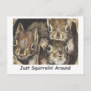 Juste Squirrellin' Autour Carte Postale