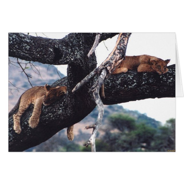 "Juste traînant " (Devant horizontal)