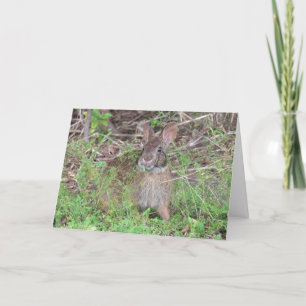 Juste un lièvre plus vieux - Carte lapin d'anniver