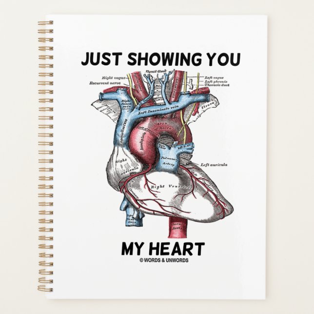 Juste Vous Montrer Mon Coeur Anatomique Coeur (Devant)