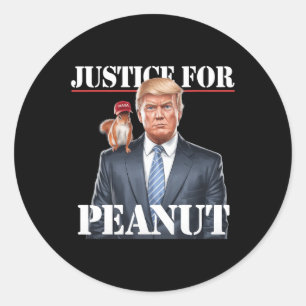 Justice For Peanut The Squirrel – Christmas Xmas S Classic Round Sticker