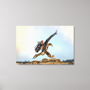 Juvenile Bald Eagle Landing Canvas Print