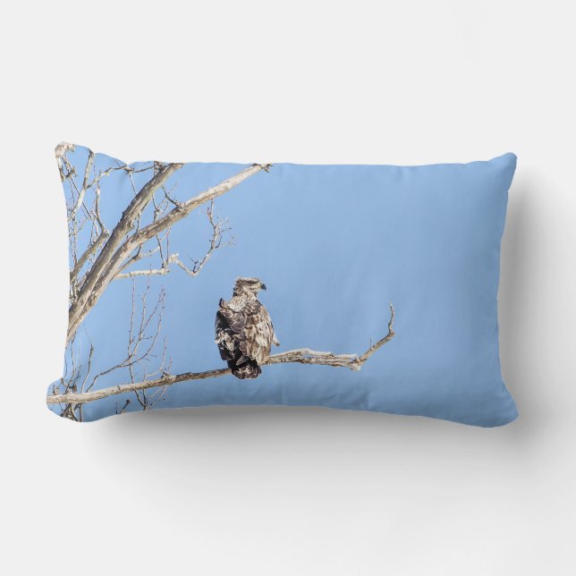 Juvenile Bald Eagle Lumbar Pillow (Front)