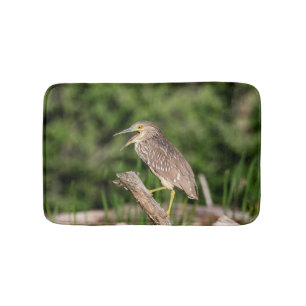 Juvenile Black Crowned Night Heron Bath Mat
