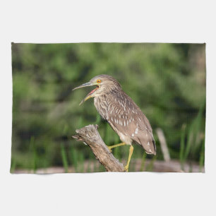 Juvenile Black Crowned Night Heron Kitchen Towel