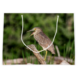 Juvenile Black Crowned Night Heron Large Gift Bag
