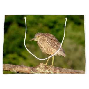 Juvenile Black Crowned Night Heron Large Gift Bag