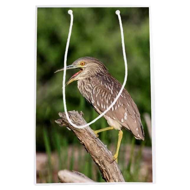 Juvenile Black Crowned Night Heron Medium Gift Bag (Front)