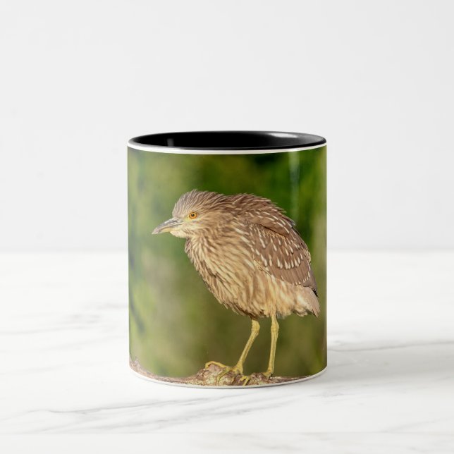 Juvenile Black Crowned Night Heron Two-Tone Coffee Mug (Center)