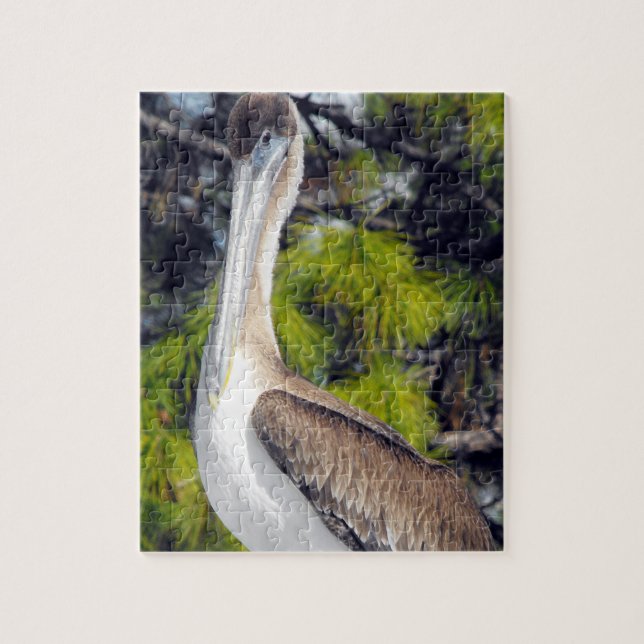 Juvenile Brown Pelican Jigsaw Puzzle (Vertical)