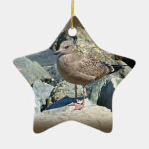 Juvenile Great Black-Backed Gull Ceramic Ornament