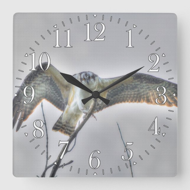 Juvenile Osprey Fish-Eagle Wildlife Photo Scene Square Wall Clock (Front)