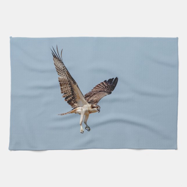 Juvenile Osprey in flight Kitchen Towel (Horizontal)