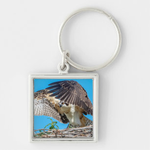 Juvenile Osprey in the nest Keychain