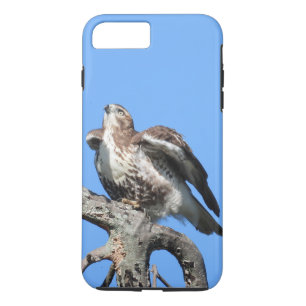 Juvenile Red Tail Hawk Case-Mate iPhone Case