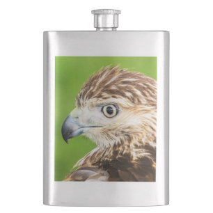 Juvenile Red Tailed Hawk Hip Flask