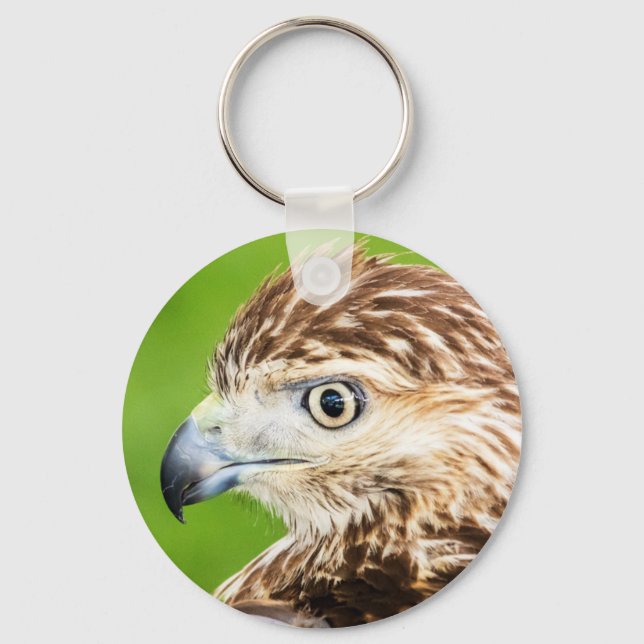 Juvenile Red Tailed Hawk Keychain (Front)