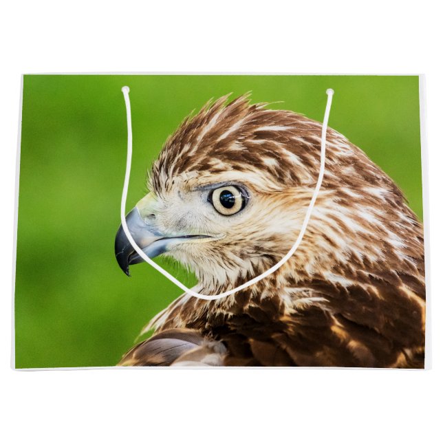 Juvenile Red Tailed Hawk Large Gift Bag (Front)