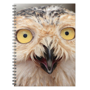 Juvenile Snowy Owl Notebook