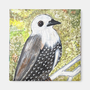 Juvenile Startling Magnet