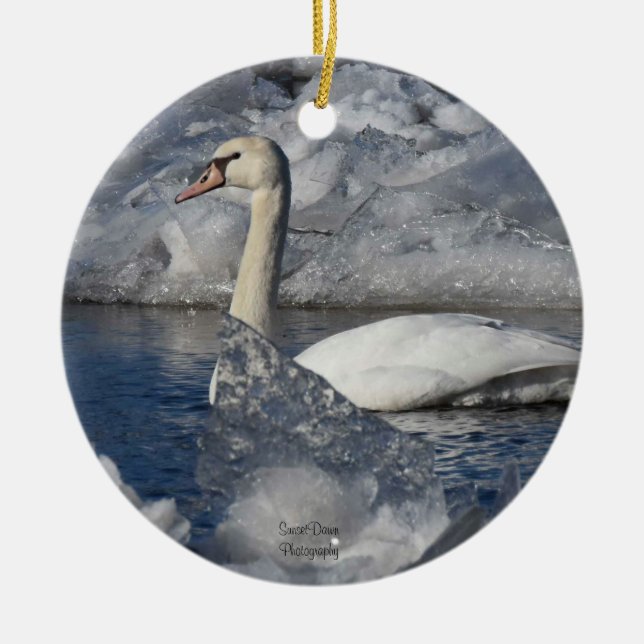 Juvenile Swan in Icey River Ceramic Ornament (Front)