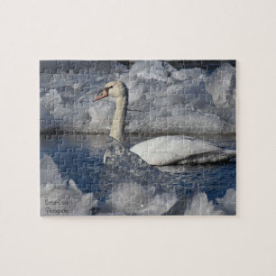 Juvenile Swan in Icey River Jigsaw Puzzle