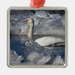 Juvenile Swan in Icey River Metal Ornament