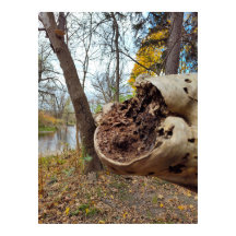 Juxtposition of Decay and Life