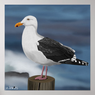 jz.birds Möwe Poster