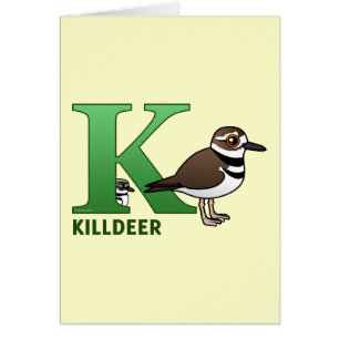 K is for Killdeer