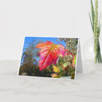 K&K - Sympathy Card