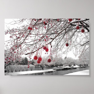 K&K Winter Berry Poster