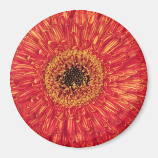 KA-Bloom! Magnet