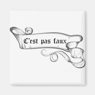 Kaamelott's not wrong magnet