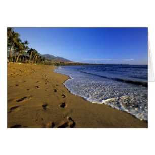 Kaanapali beach, Maui, Hawaii, États-Unis