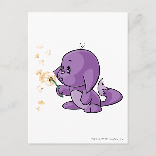 Kacheek Purple Postcard (Front)