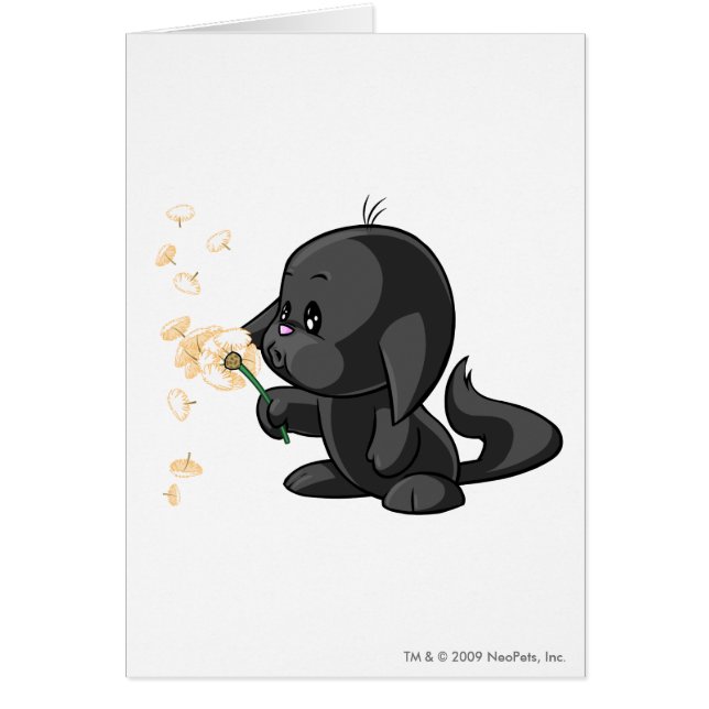 Kacheek Shadow (Front)