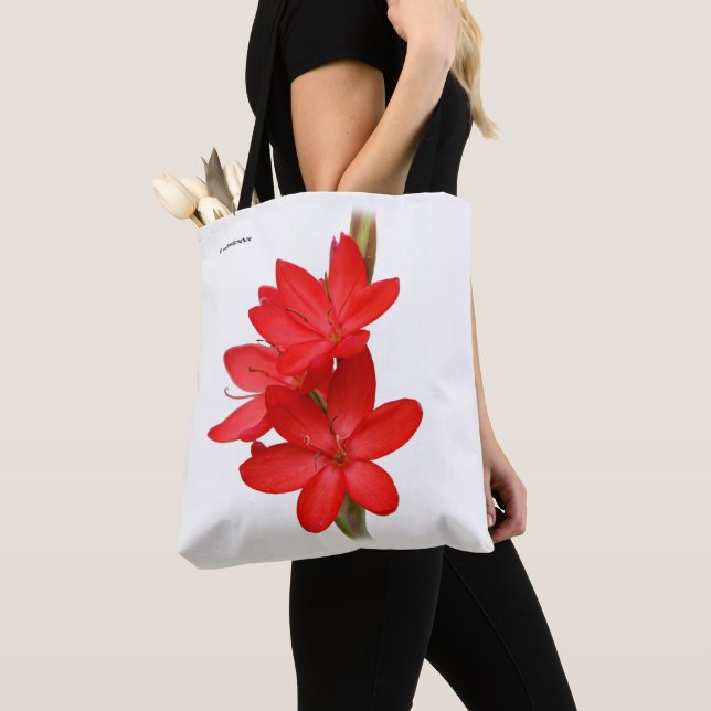 Kaffir Lily / River Lily / Hesperantha Coccinea Tote Bag (Close Up)