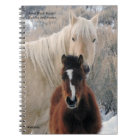 Kahlua and Avocet from Sand Wash Basin