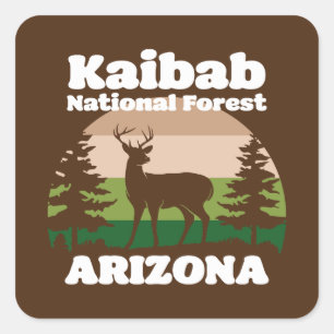 Kaibab National Forest Arizona Square Sticker