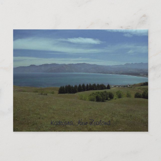 Kaikoura, New Zealand Postcard (Front)